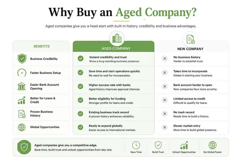 Where to Buy Aged Companies in 2026 - Top Countries Compared 3 Why Buy an Aged Company?