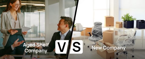 Aged Shelf Company vs New Company: Which One is Right for You? Aged Shelf Company vs New Company: Which One is Right for You?